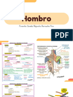 Anatomía Del Hombro