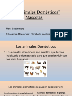 _LOS_ANIMALES_DOMESTICOS_CON VIDEO LOS GATOS