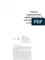 Cultura Organizacional