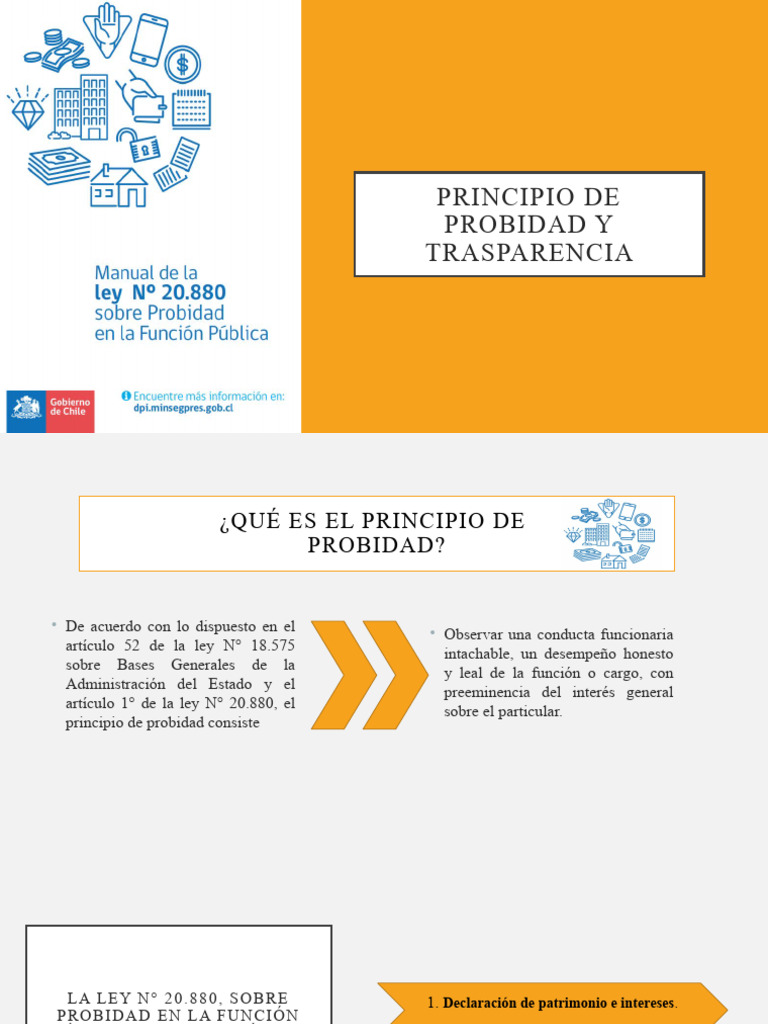 Principios de Probidad y Transparencia | PDF | Gobernancia | Justicia