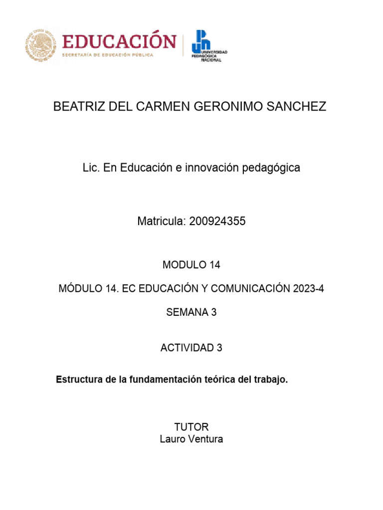 BCGS Estructura | PDF