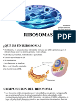 Ribosomas Anatomía Patológica 1
