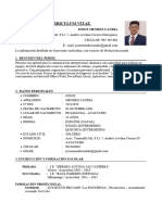 Curriculum Vitae Josue Mendez Candia