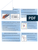 Electrofisiologia Cardiaca