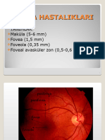 FU (Maküla Ve Hastalıkları)