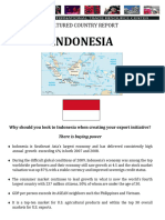 indonesia country report 1