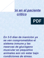 Nutrición en El Paciente Critico