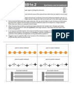 E. Enzymes and Nutrition