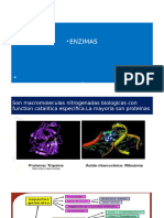 Clase 04 - Enzimas