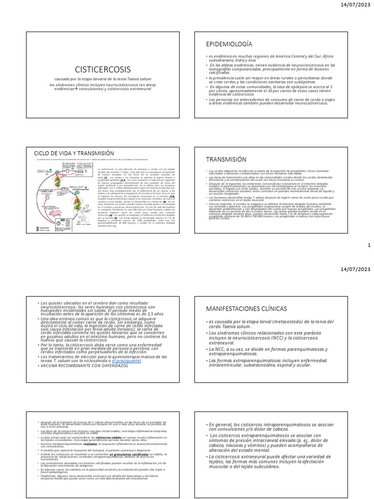 cist-icer-cos-is-pdf-enfermedades-y-trastornos-medicina-clinica