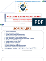 3 Cour Culture d'Entreprenariat TCE 201