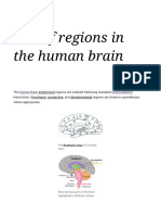 List of Regions in The Human Brain - Wikipedia