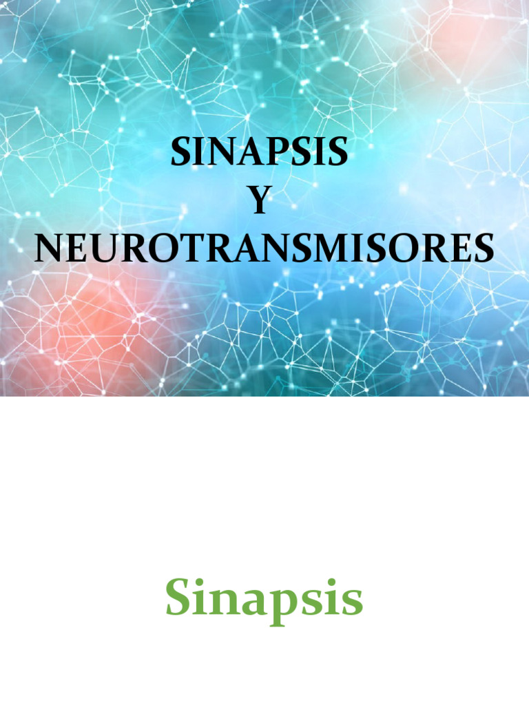 Sinapsis y Neurotransmisores | PDF | Sinapsis | Sinapsis química