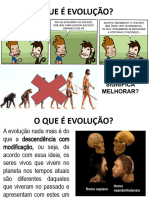 O Que É Evolução