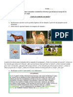 Planificación de Animales Primer Grado Lucila 2024