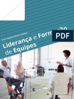 Liderança e Formação de Equipes