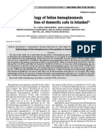 Epidemiology of Feline Hemoplasmosis in