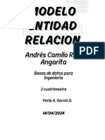 Ruiz_Andres_Resumen (5)