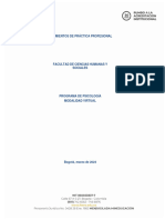 LINEAMIENTOS DE PRÁCTICA PROFESIONAL 2023 PSICOLOGÍA VIRTUAL 19 de Marzo