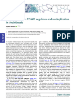 Cell Size Matters: CDKG2 Regulates Endoreduplication in Arabidopsis