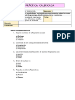 PRI-5-IB-A7 CYT-PC-S5-Realizamos Una Infografía Sobre Los Cuidados Que Debemos Tener en El Aparato Respiratorio.