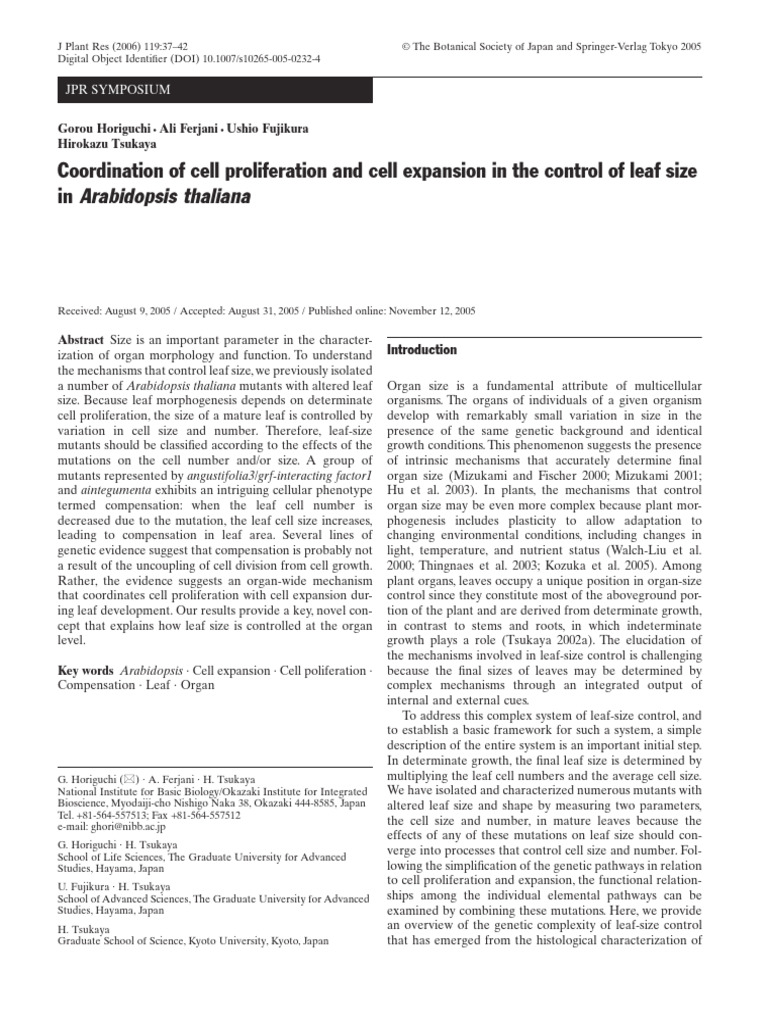 coordination-of-cell-proliferation-and-cell-expansion-in-the-control-of