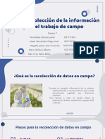 Plan de Recolección de La Información para El Trabajo de Campo