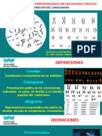  Elaboración del Cariograma DMSH