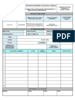 FORMATO- CAPACITACION 5min