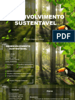 Entegrador Ambiental PDF