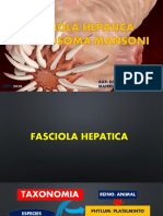 Fasciola Hepatica-Schistosoma Mansoni