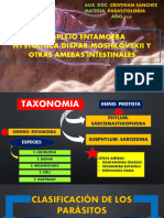 Complejo E. Histolytica-Dispar-Moshkovskii y Otras Amebas