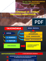 CRYPTOSPORIDIUM SP. Y OTROS COCCIDIOS INTESTINALES