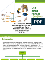 Los cinco reinos_ Reino Monera Reino Protista Reino Plantae Reino Fungi