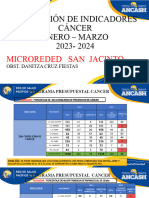 Estrategia Indicadores Cancer 2023 - 2024 - Copia 2