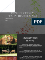 Reproduccion y Sexualidad Humana