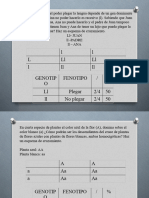 CP - TAREA