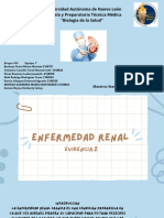 Enfermedad Renal.eq7