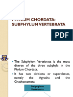 Phylum Chordata 2