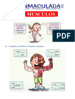 Los Musculos para Primer Grado de Primaria