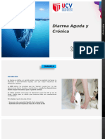 Diarrea Aguda y Cronica. 2023 - Tagged