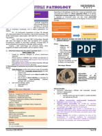 F.06 Diseases of The Heart