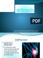 artrosis 4 a