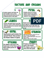 Biology Plant Structure Revision Cards