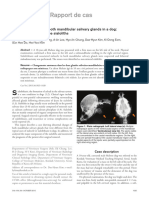 Abnormal changes in both mandibular salivary glands in a dog non-mineral radiopaque sialoliths