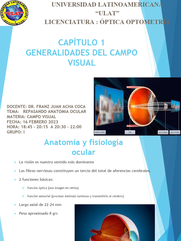 Tema 1 Pdf Percepción Visual Ojo Humano