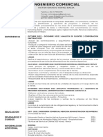 Curriculum Vitae IA