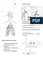 SISTEMA RESPIRATORIO - Docx Ficha