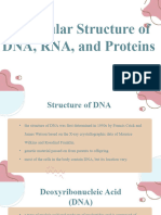 Molecular Structure of DNA, RNA, and Proteins