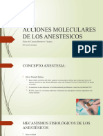 Teoria Molecular Del Efecto de Los Anestesicos